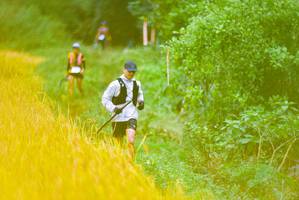 BIB: 
                            <button type="button" onclick="openModal(13455678)" class="btn btn-primary btn-sm float-right btn-popup" data-toggle="modal" data-target=".modal-high-quality">
                        <i class="fas fa-shopping-cart"></i> Add to Cart
                    </button>
                                            <button type="button" onclick="isThisMe(13455678, true)" class="btn btn-success btn-sm float-right btn-popup btn-isme hidden" data-toggle="tooltip" data-placement="bottom" title="นี่คือรูปของคุณใช่ไหม คลิกที่นี่เพื่อเอาเข้าอัลบั้ม">
                        <i class="fas fa-plus"></i> Add to album
                    </button>
                    <button type="button" onclick="isThisMe(13455678, false)" class="btn btn-warning btn-sm float-right btn-popup btn-isnotme hidden">
                        <i class="fas fa-ban"></i> Remove from album
                    </button>